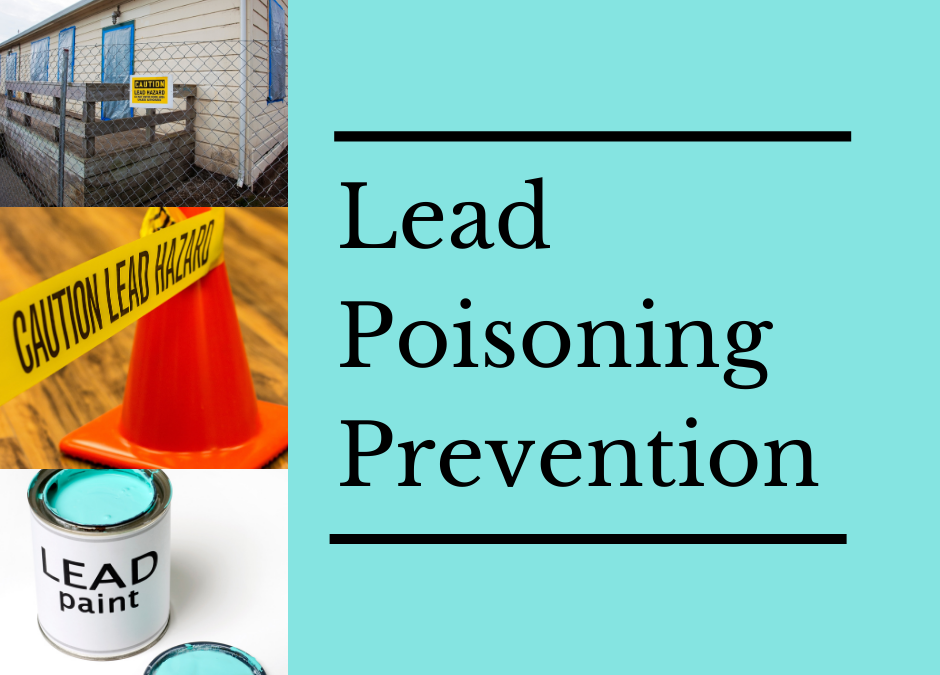 Lead Poisoning Is Still a National Concern