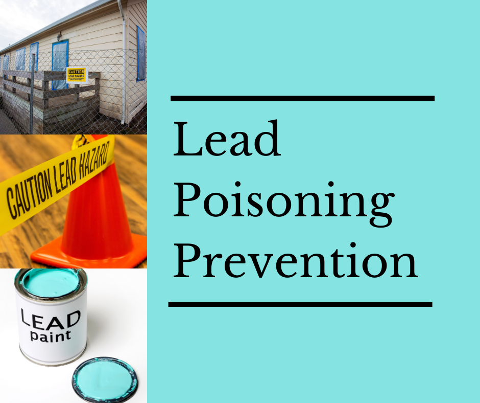 lead poisoning prevention